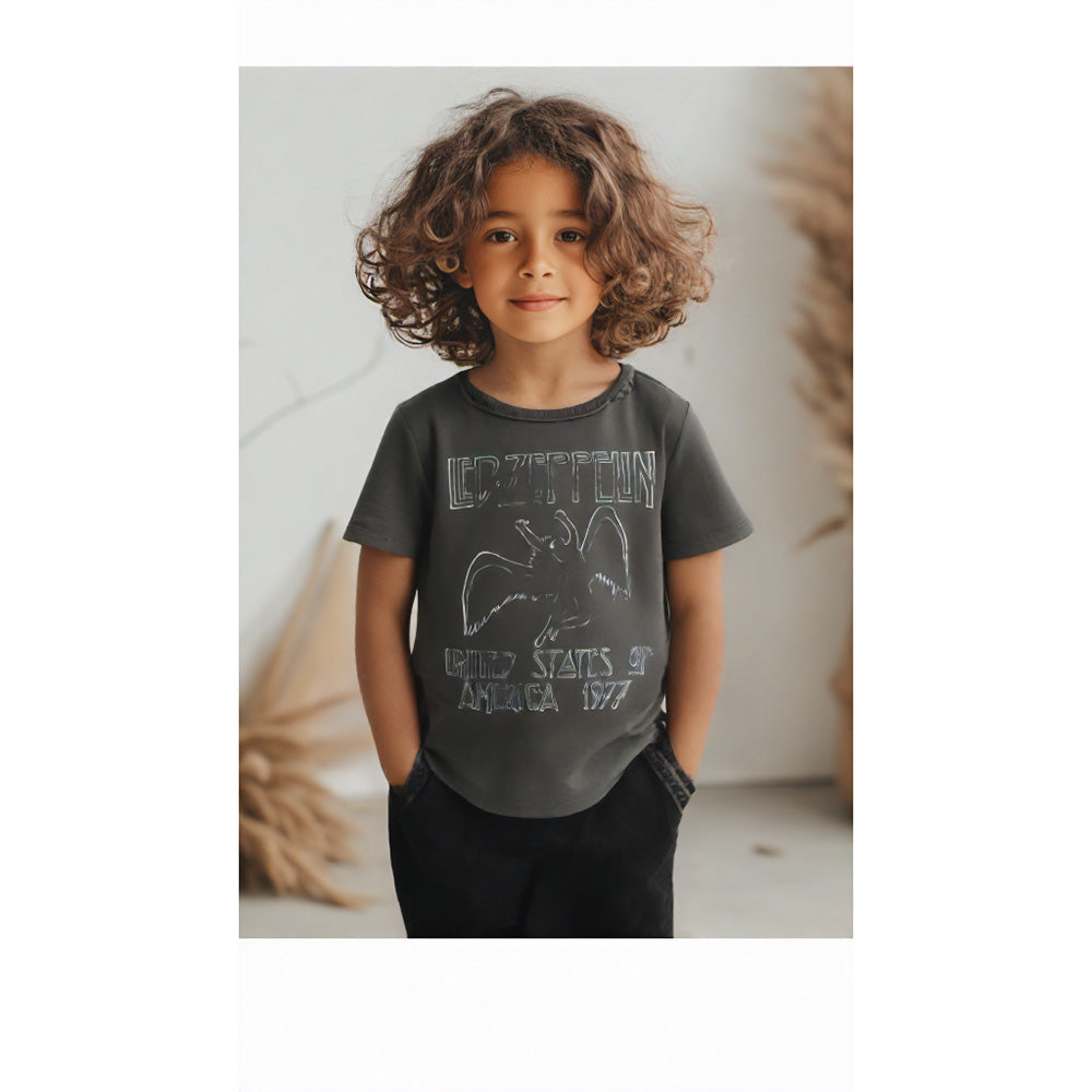 LED ZEPPELIN レッドツェッペリン (来日 55周年 ) - US 77 Tour / Mini