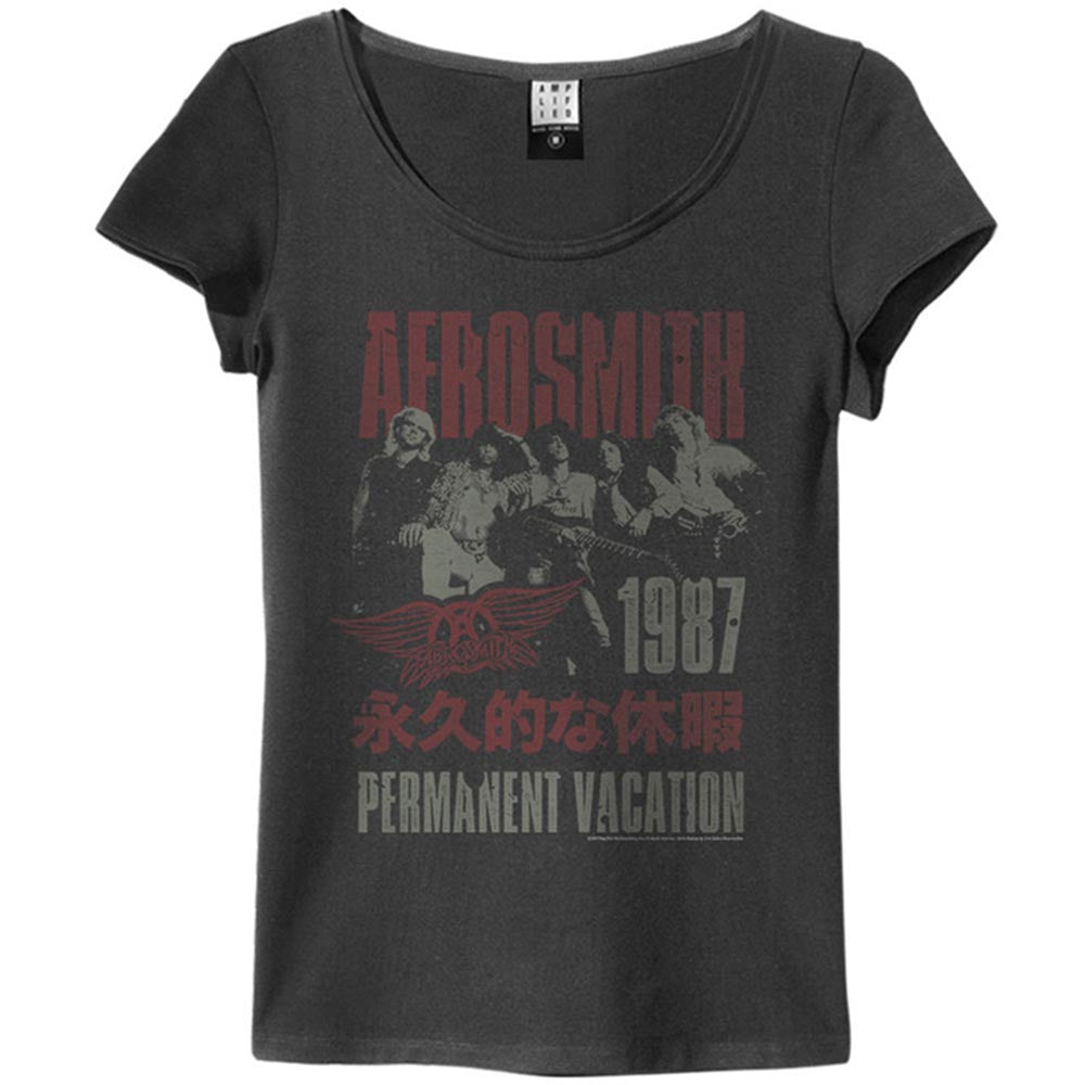 AEROSMITH Tシャツ Lサイズ バンド LIVE イベント エアロスミス THE BAREFOOT tシャツ 「 AEROSMITH / エアロスミス 」バンドT